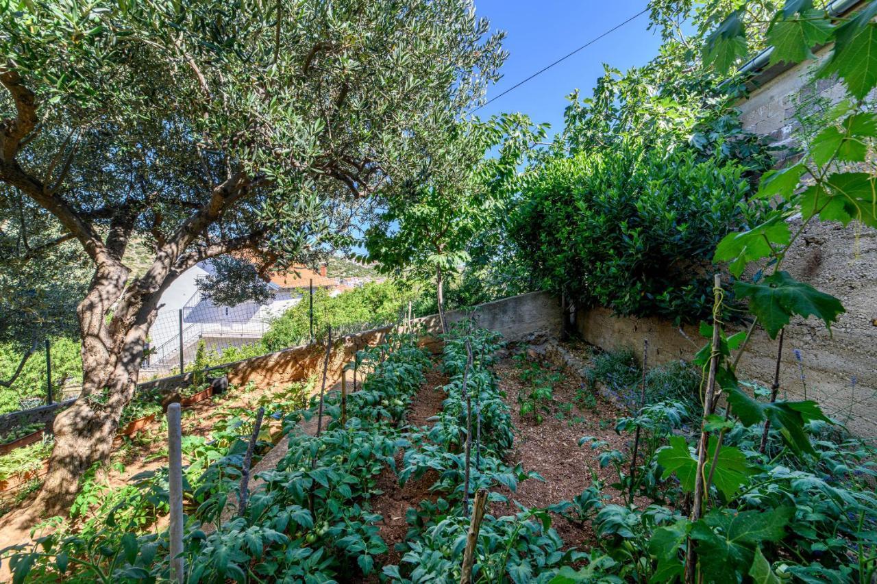 Apartments Kardum Sibenik Luaran gambar